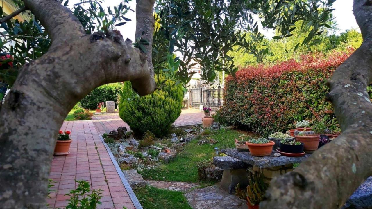 Apartment Green Oasis 1 Umag Exterior photo